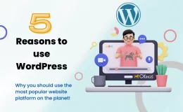 Reasons to use WordPress