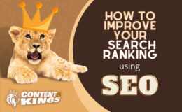 SEO HOW TO IMPROVE YOUR SEARCH RANKING